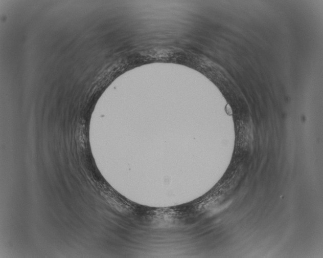 X0000067470612200605051649