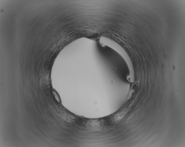 X0000067470613200605051649