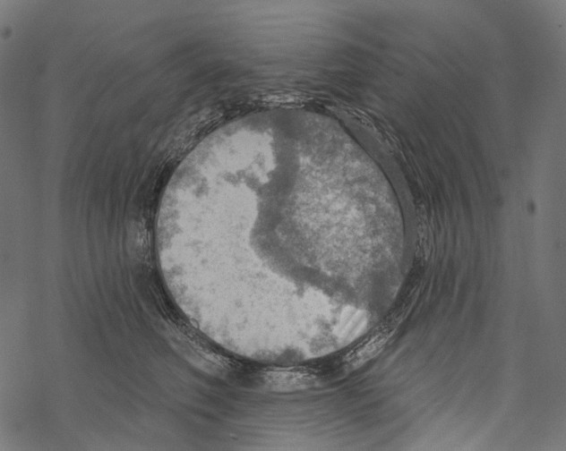 X0000067470614200605051649