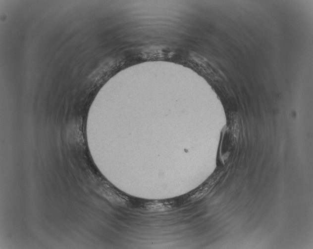 X0000067470616200605051649