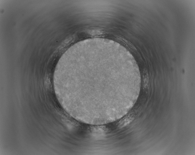 X0000067470618200605051649