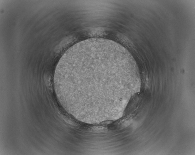 X0000067470619200605051649