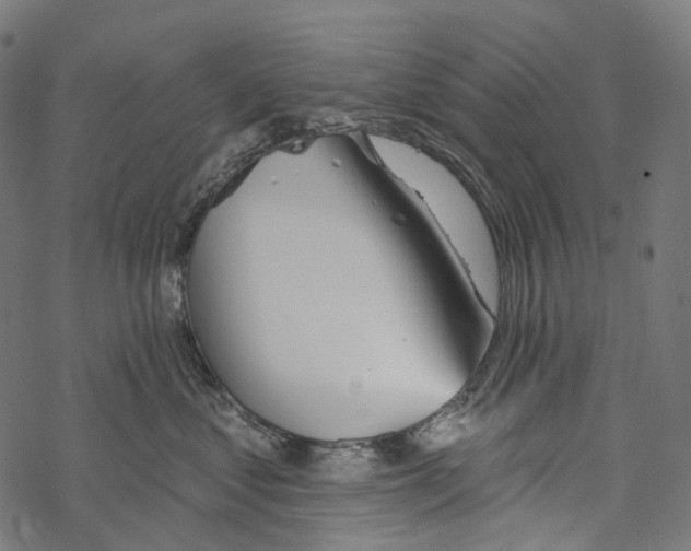 X0000067470621200605051649