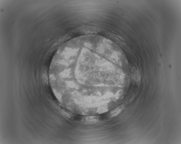 X0000067470622200605051649