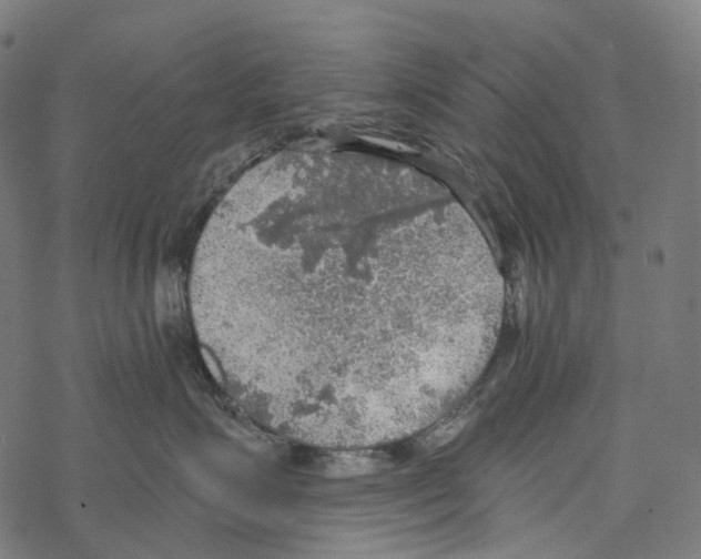 X0000067470623200605051649