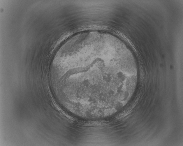 X0000067470625200605051648