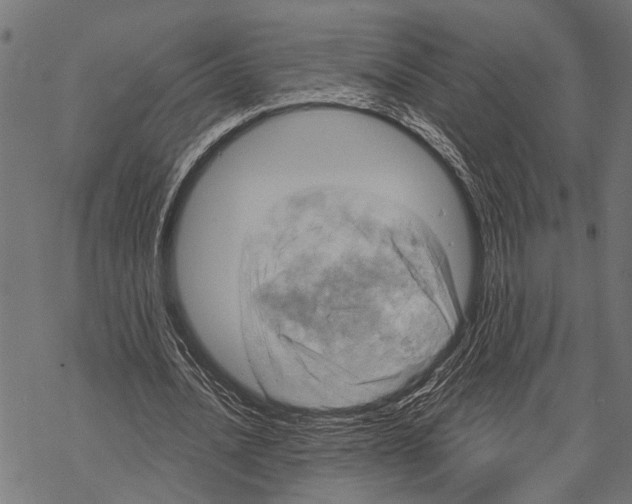 X0000067470628200605051648