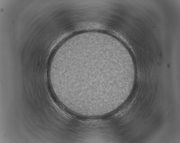 X0000067470629200605051648