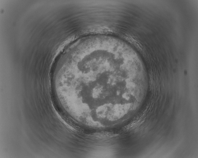 X0000067470630200605051648