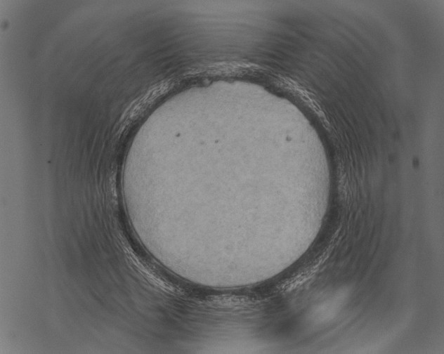 X0000067470633200605051648