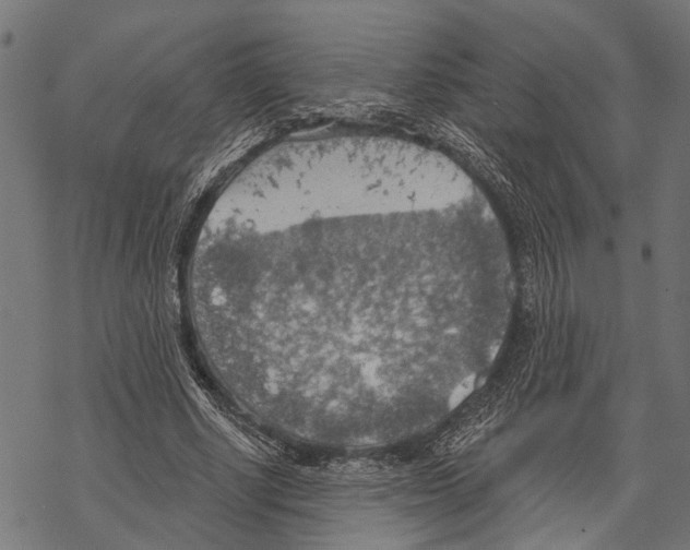 X0000067470634200605051648