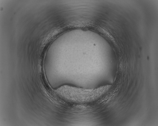 X0000067470635200605051648