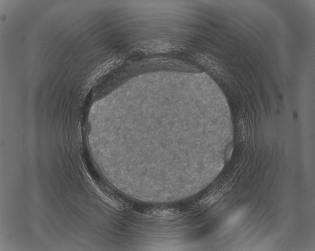 X0000067470638200605051648