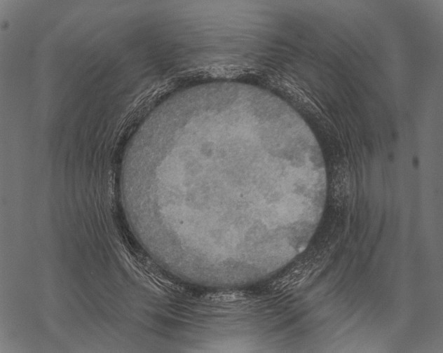 X0000067470639200605051648