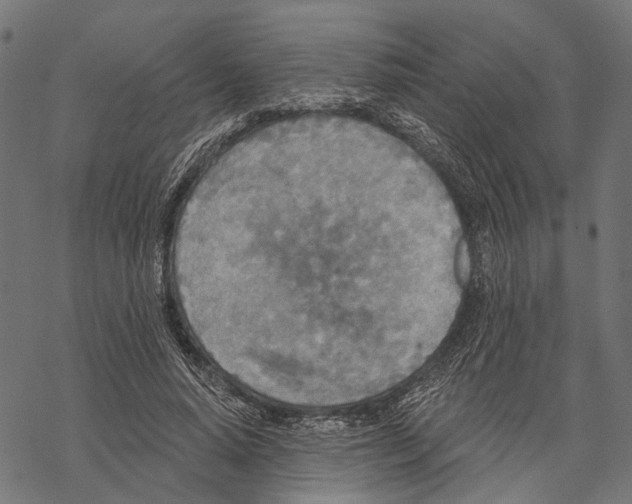 X0000067470640200605051648