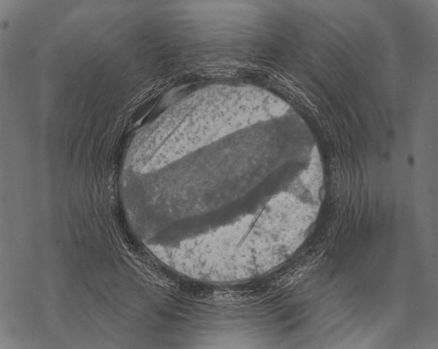 X0000067470641200605051648