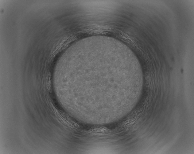 X0000067470642200605051648