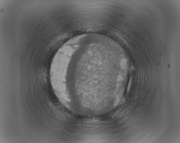 X0000067470643200605051648