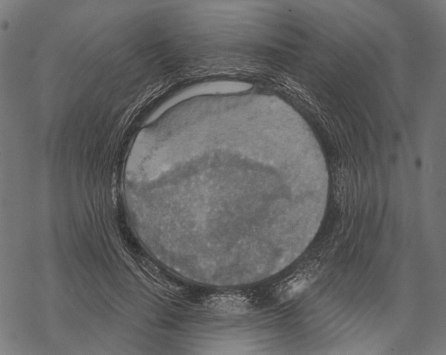 X0000067470644200605051648