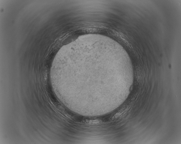 X0000067470645200605051648