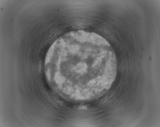 X0000067470647200605051648