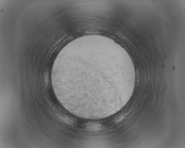 X0000067470648200605051648