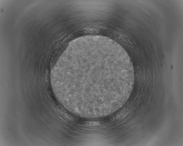 X0000067470649200605051648