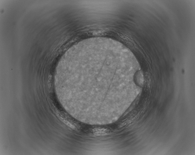 X0000067470650200605051648