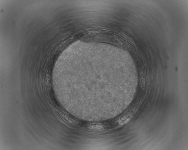 X0000067470653200605051648