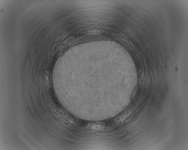 X0000067470655200605051648