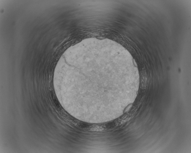 X0000067470656200605051648