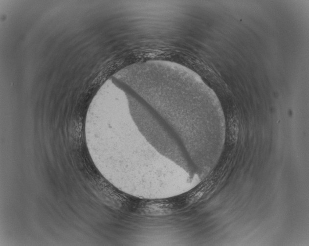 X0000067470657200605051648