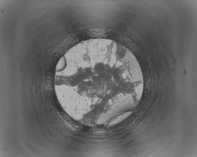 X0000067470658200605051648