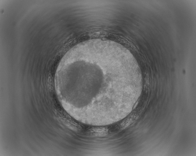 X0000067470659200605051648