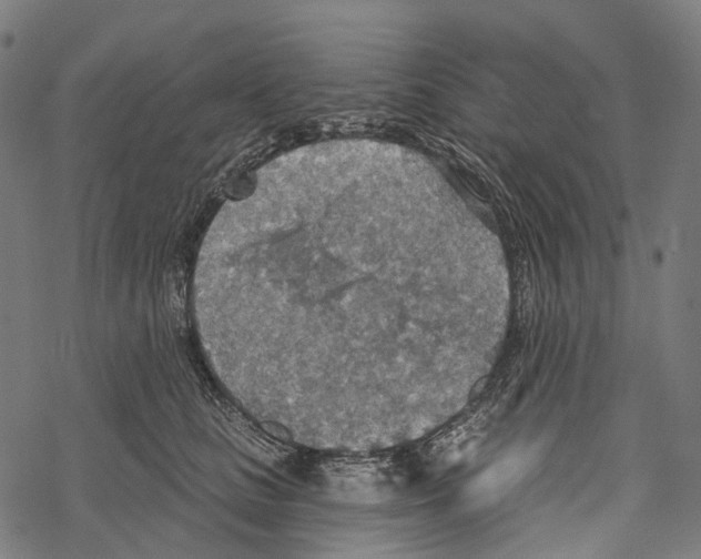 X0000067470661200605051648