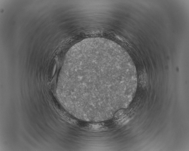 X0000067470662200605051648