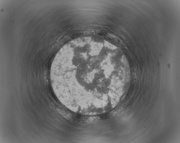 X0000067470663200605051648