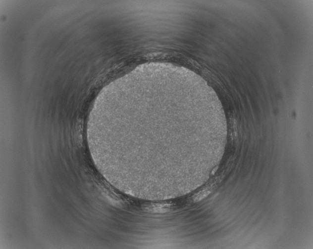 X0000067470664200605051648