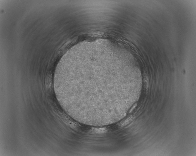 X0000067470665200605051648