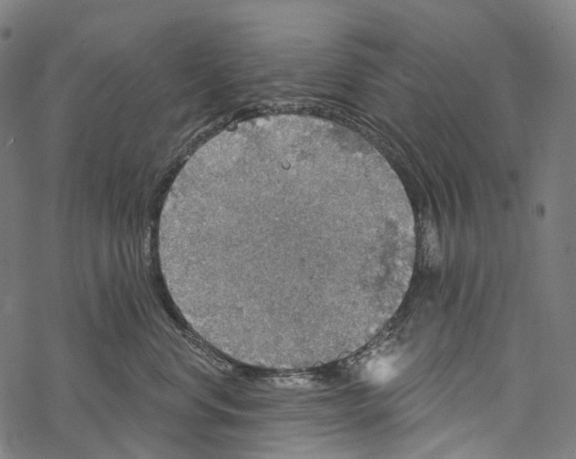 X0000067470668200605051648