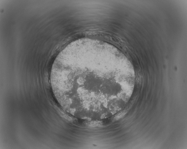 X0000067470670200605051648