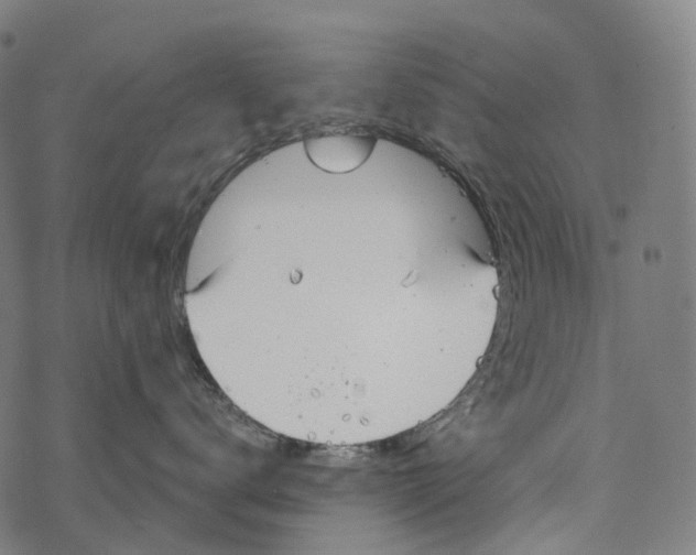 X0000067470672200605051648