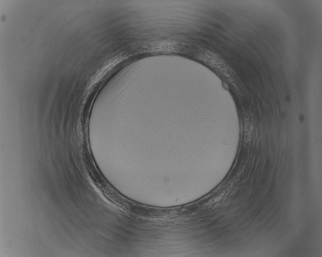 X0000067470674200605051648