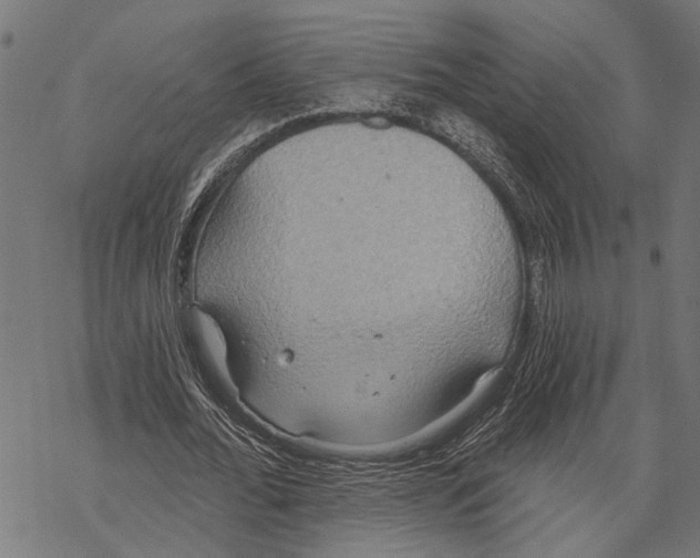 X0000067470676200605051648