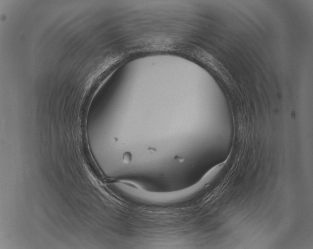 X0000067470677200605051648