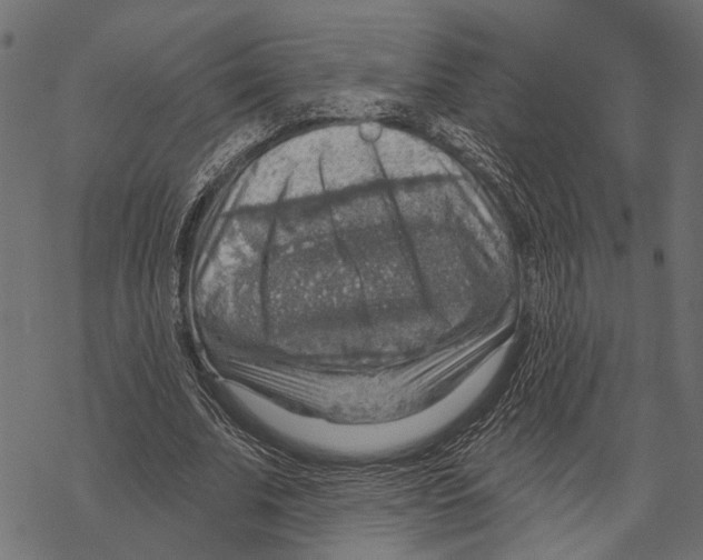 X0000067470679200605051648