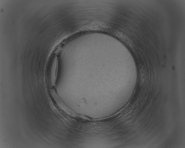 X0000067470680200605051648