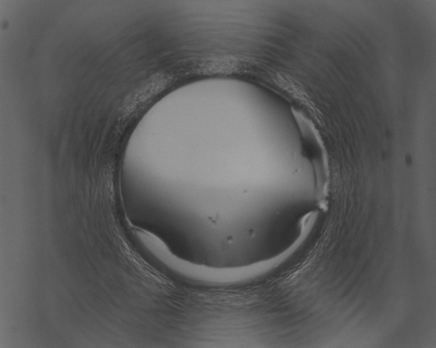 X0000067470681200605051648