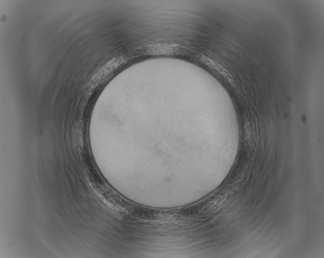 X0000067470682200605051648