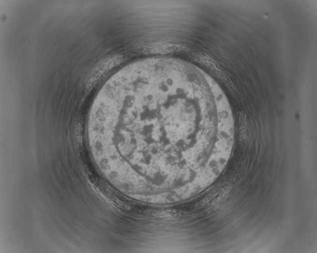 X0000067470683200605051648